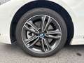 BMW 120 120iA 178ch Edition Sport DKG7 Wit - thumbnail 19