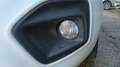 Fiat Qubo 1.4 Natural Power Lounge Bianco - thumbnail 19
