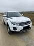 Land Rover Range Rover Evoque Pure 2,2 eD4 - thumbnail 1