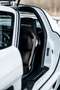 Mercedes-Benz SLS AMG Coupe AMG SPEEDSHIFT DCT Black Series Umbau Білий - thumbnail 14