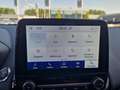 Ford EcoSport 1.0 EcoBoost ST-Line Rood - thumbnail 20