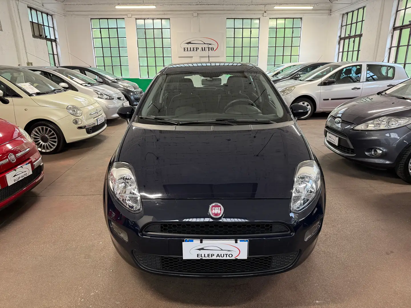 Fiat Punto Punto 5p 1.3 mjt Lounge s Blu/Azzurro - 2