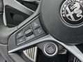Alfa Romeo Stelvio 2.0 T AWD B-Tech 280 PK / PANO / ADAPT. CRUISE / L Blauw - thumbnail 13
