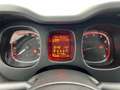 Fiat Panda 1.2 Lounge Blauw - thumbnail 15