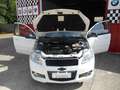 Chevrolet Aveo Aveo 5p 1.2 LS ecologic Gpl NO BLOCCHI TRAFFICO Bianco - thumbnail 4