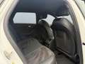Audi A4 Avant 40 TFSI S-line *Matrix*Virtual*Black* Weiß - thumbnail 20