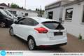 Ford Focus Trend 1,0 EcoBoost =ZAHNRIEMEN+ÖL NEU Wit - thumbnail 16