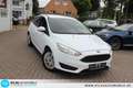 Ford Focus Trend 1,0 EcoBoost =ZAHNRIEMEN+ÖL NEU Wit - thumbnail 24