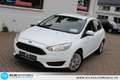 Ford Focus Trend 1,0 EcoBoost =ZAHNRIEMEN+ÖL NEU Wit - thumbnail 12