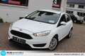 Ford Focus Trend 1,0 EcoBoost =ZAHNRIEMEN+ÖL NEU Wit - thumbnail 13