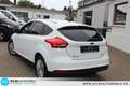Ford Focus Trend 1,0 EcoBoost =ZAHNRIEMEN+ÖL NEU Wit - thumbnail 18