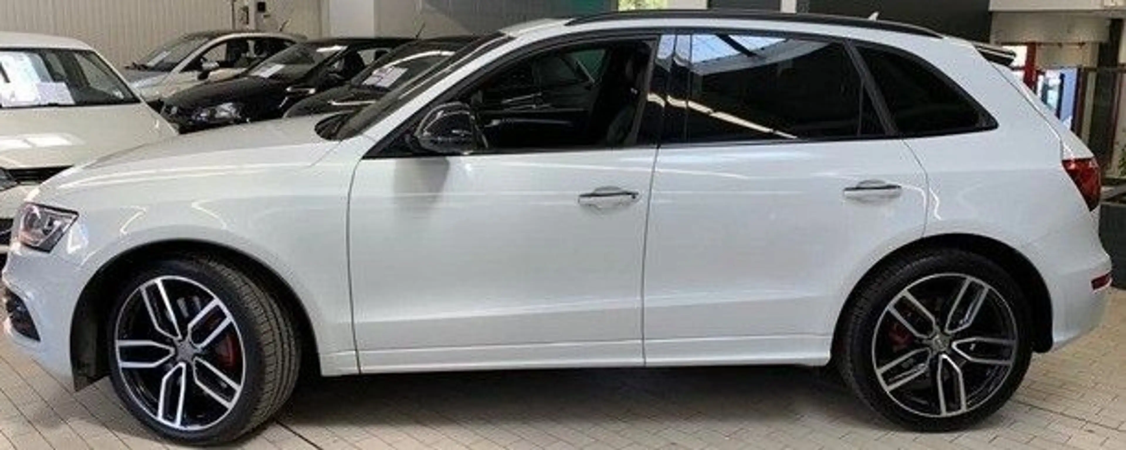 Audi SQ5 3.0 TDI plus quattro ab ca. 15.09.26 — photo 5