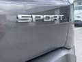 Jeep Renegade 1.6 mjt Sport fwd 95cv Grigio - thumbnail 14