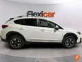 Subaru XV 1.6i Executive Plus CVT Blanco - thumbnail 9