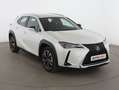 Lexus UX 250h Premium 4WD Blanco - thumbnail 8