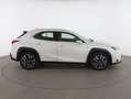 Lexus UX 250h Premium 4WD Blanco - thumbnail 7