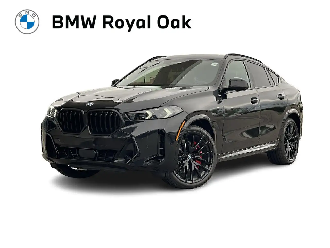 2026 BMW X6