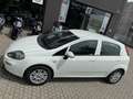 Fiat Punto Punto III 2012 3p 1.4 easypower Young, Gpl Blanc - thumbnail 10