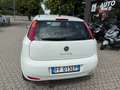 Fiat Punto Punto III 2012 3p 1.4 easypower Young, Gpl Blanc - thumbnail 2