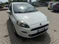 Fiat Punto Punto III 2012 3p 1.4 easypower Young, Gpl Blanc - thumbnail 6