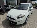 Fiat Punto Punto III 2012 3p 1.4 easypower Young, Gpl Blanc - thumbnail 8