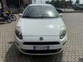 Fiat Punto Punto III 2012 3p 1.4 easypower Young, Gpl Blanc - thumbnail 7