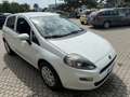 Fiat Punto Punto III 2012 3p 1.4 easypower Young, Gpl Blanc - thumbnail 5