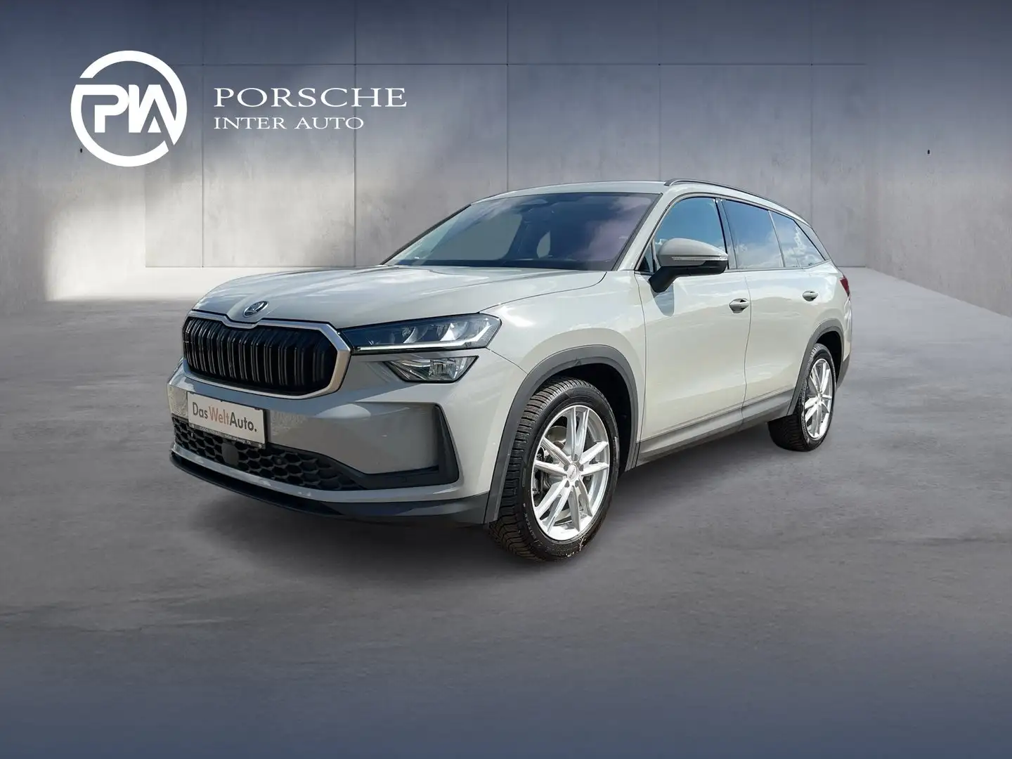 Skoda Kodiaq 4x4 Selection TDI DSG Grau - 1