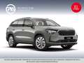 Skoda Kodiaq 4x4 Selection TDI DSG Grau - thumbnail 24