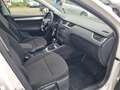 Skoda Octavia Combi 1.6 TDI Ambition DSG"Lückenlos S-Heft"... Weiß - thumbnail 5