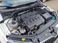 Skoda Octavia Combi 1.6 TDI Ambition DSG"Lückenlos S-Heft"... Weiß - thumbnail 20