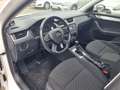 Skoda Octavia Combi 1.6 TDI Ambition DSG"Lückenlos S-Heft"... Weiß - thumbnail 13