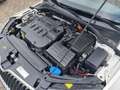 Skoda Octavia Combi 1.6 TDI Ambition DSG"Lückenlos S-Heft"... Weiß - thumbnail 22