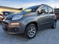 Fiat Panda Panda 1,2 Easy*4 ZYLINDER*NUR:15.000KM*NEUWERTIG Grau - thumbnail 7