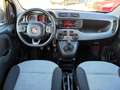 Fiat Panda Panda 1,2 Easy*4 ZYLINDER*NUR:15.000KM*NEUWERTIG Grau - thumbnail 12