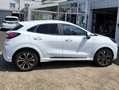Ford Puma ST-Line Design Automatik Blanc - thumbnail 8