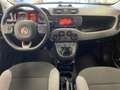 Fiat Panda 0.9 t.air t. Wild 4x4 s&s 85cv Grigio - thumbnail 10