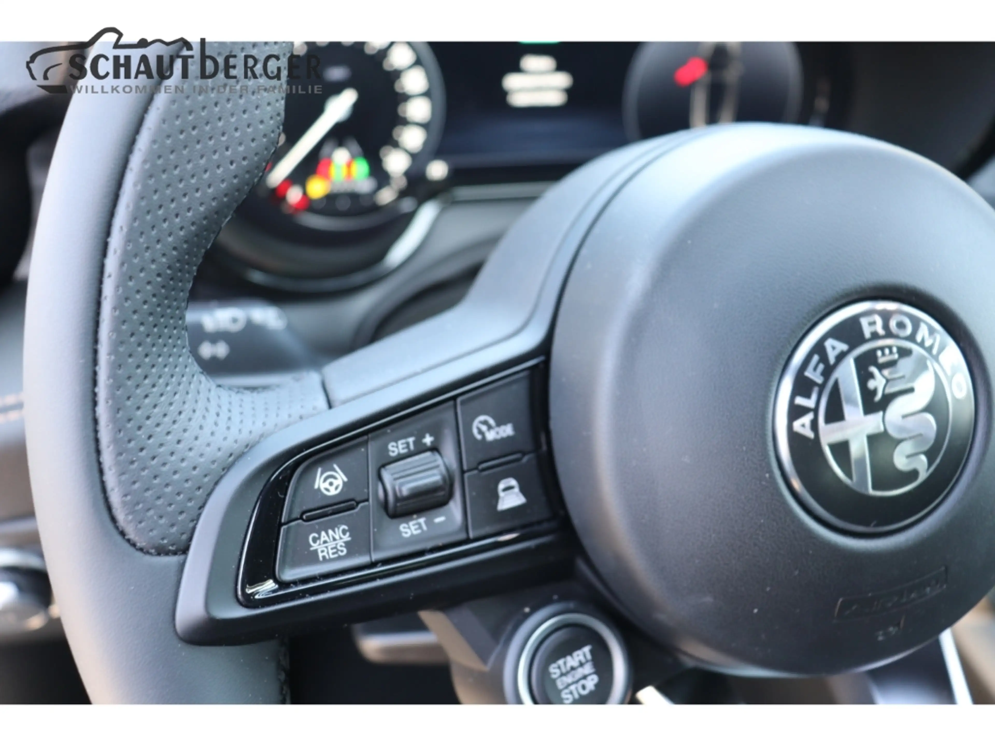 Alfa Romeo Tonale Veloce AD Leder Memory Sitze 360 Kamera Klimasitze — photo 11