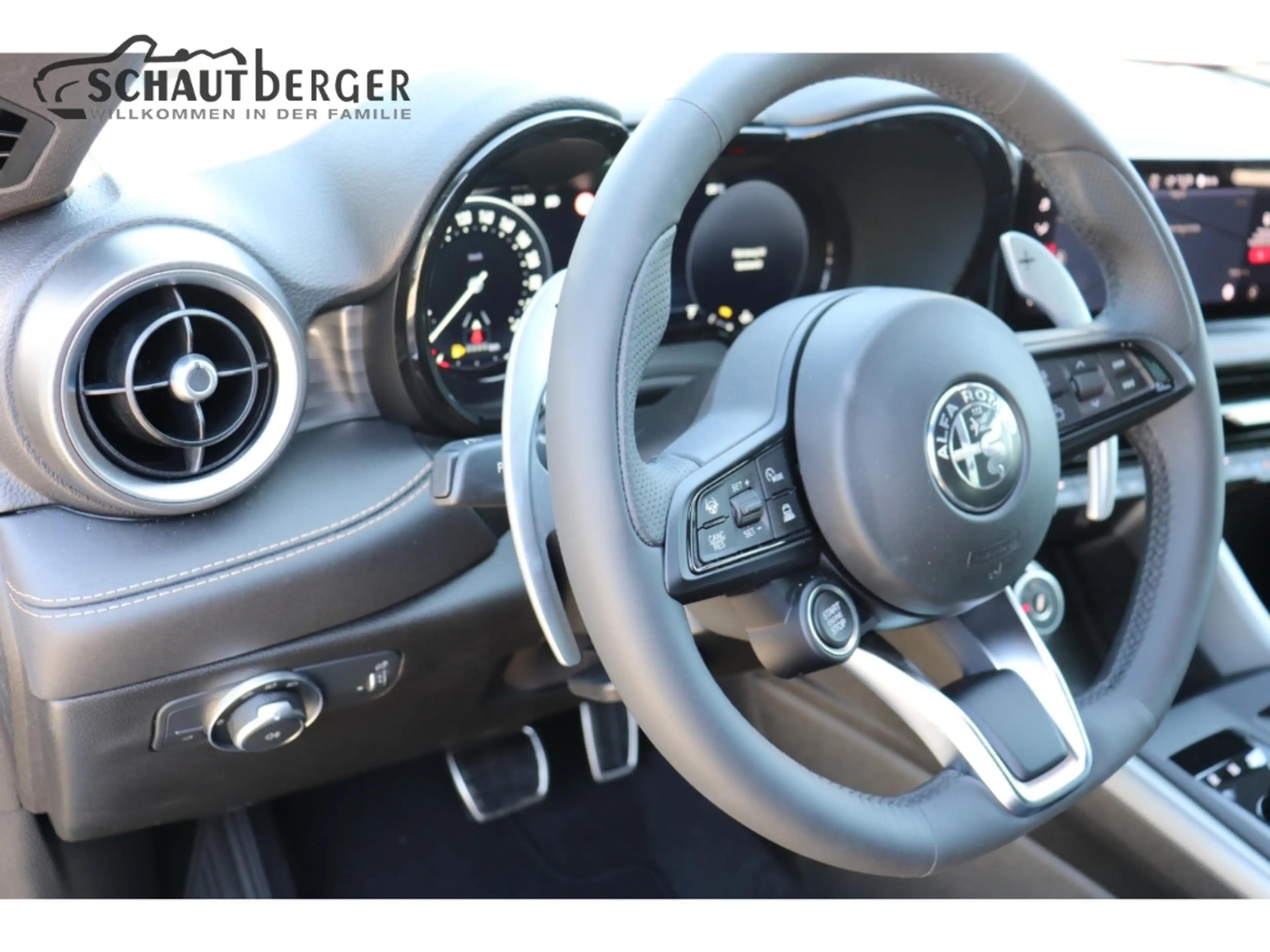 Alfa Romeo Tonale Veloce AD Leder Memory Sitze 360 Kamera Klimasitze — photo 5