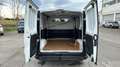 Fiat Talento 1.6 ECOJET BASE N1 L1 125CV Blanco - thumbnail 9