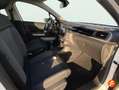 Citroen C3 BlueHDi 75KW (100CV) S&S Feel Blanco - thumbnail 25