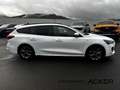Ford Focus ST-Line X Turnier AT7 PANO aAHK -41%*! Weiß - thumbnail 6
