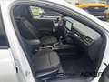Ford Focus ST-Line X Turnier AT7 PANO aAHK -41%*! Weiß - thumbnail 7