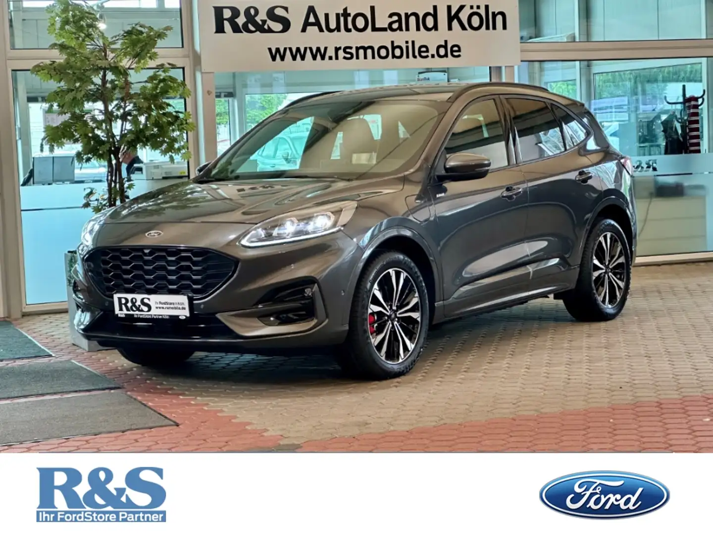 Ford Kuga ST-Line X+Automatik+Kamera+Navi+B&O+Key-Free Grau - 1