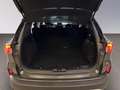 Ford Kuga ecoblue Titanium 2wd Grigio - thumbnail 14