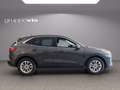 Ford Kuga ecoblue Titanium 2wd Grigio - thumbnail 6