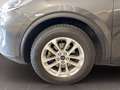 Ford Kuga ecoblue Titanium 2wd Grigio - thumbnail 15