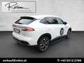MG HS HS PHEV+ Luxury Aut. Leder Weiß - thumbnail 5