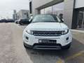 Land Rover Range Rover Evoque D150  Pure Auto Blanc - thumbnail 2