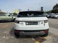 Land Rover Range Rover Evoque D150  Pure Auto Blanco - thumbnail 5